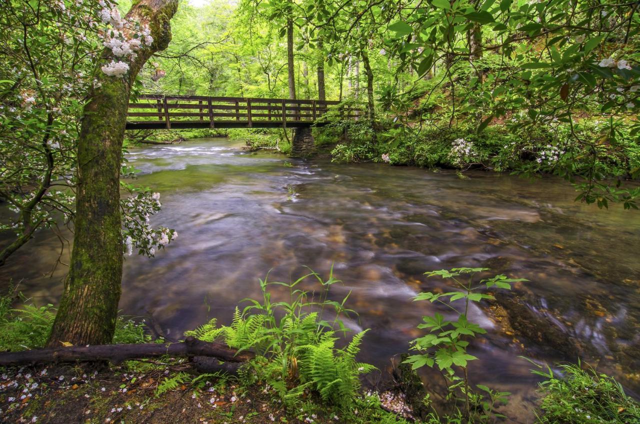 Bear Tracks, 2 Bedrooms, Hot Tub, Fireplace, Wifi, Jetted Tub, Sleeps 6ガトリンバーグ エクステリア 写真